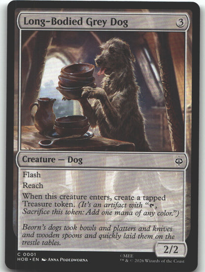 Long-Bodied Grey Dog