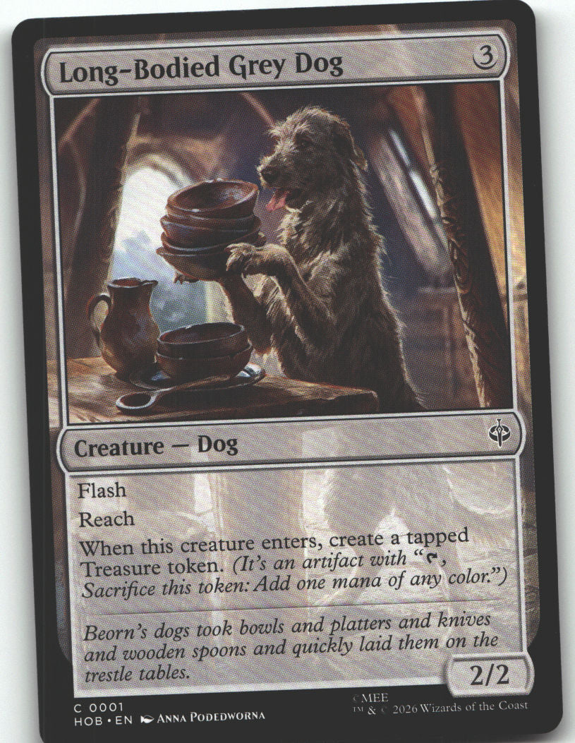 Long-Bodied Grey Dog