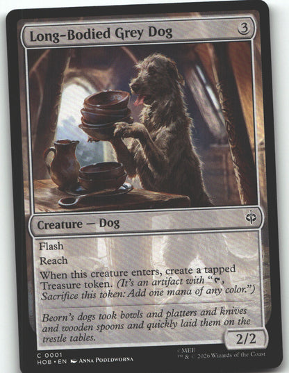 Long-Bodied Grey Dog