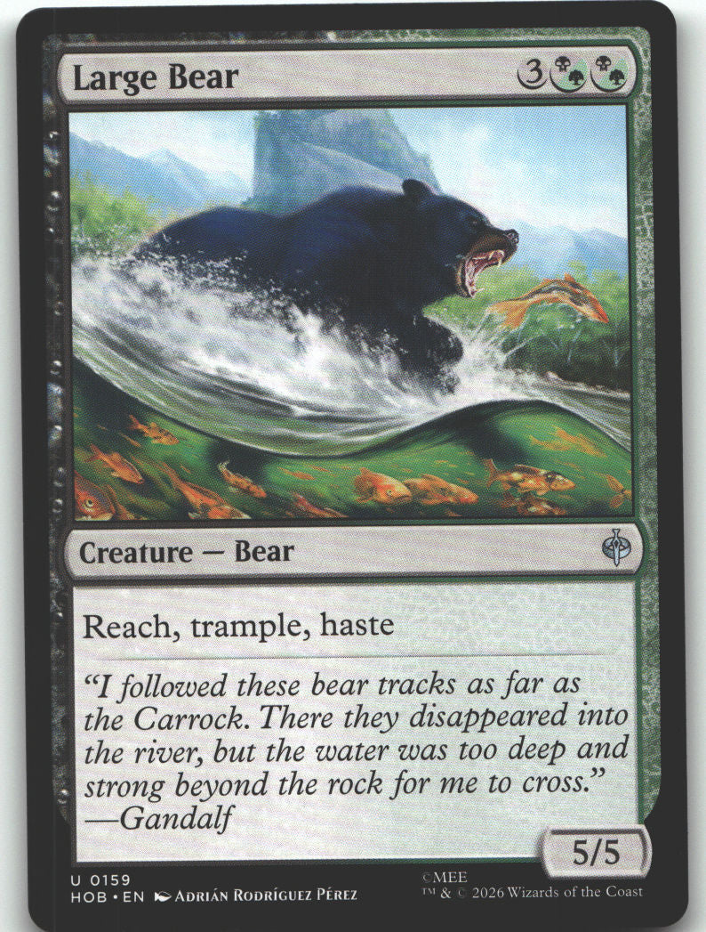 Large Bear