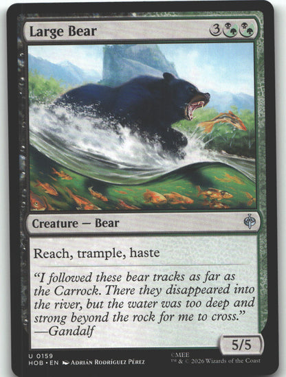 Large Bear
