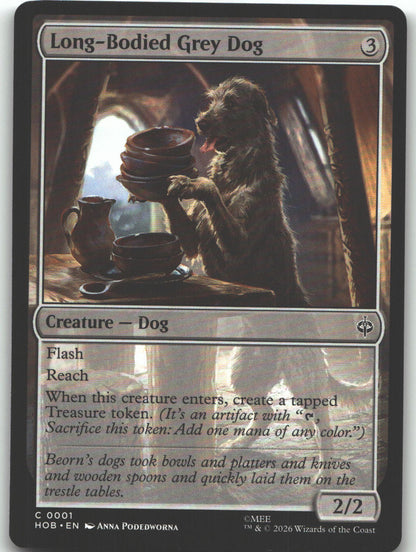 Long-Bodied Grey Dog