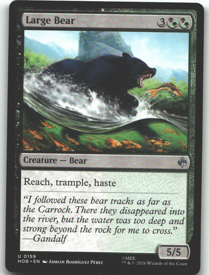 Large Bear