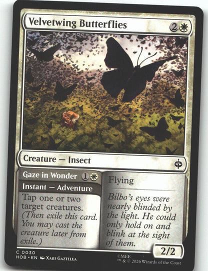 Velvetwing Butterflies