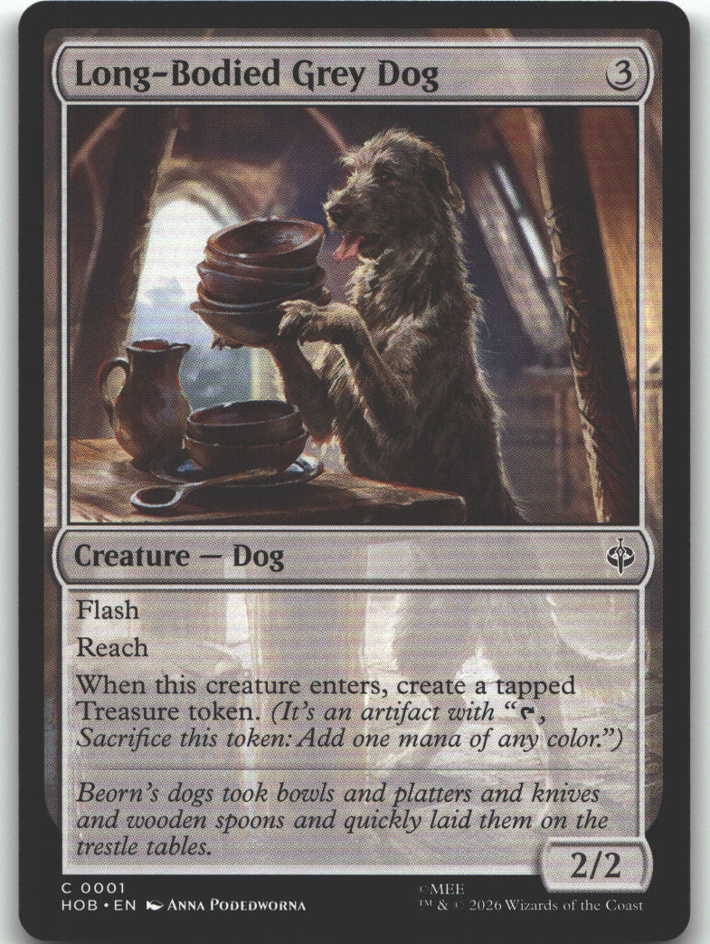 Long-Bodied Grey Dog
