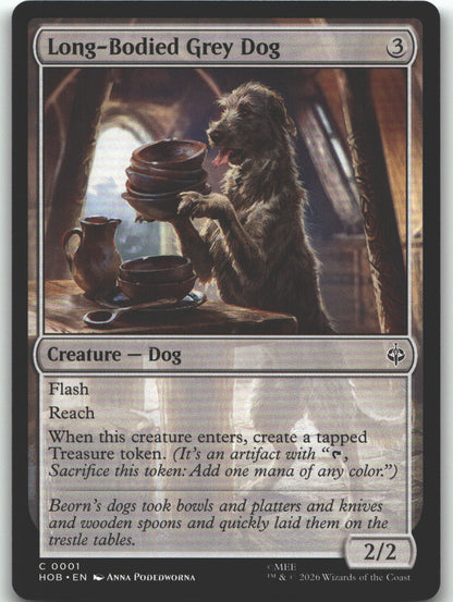 Long-Bodied Grey Dog