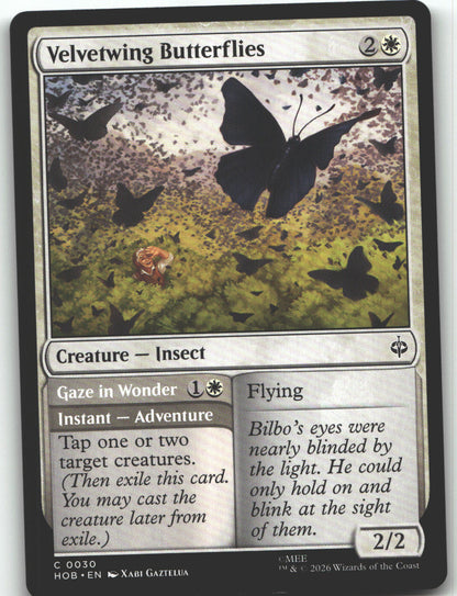 Velvetwing Butterflies