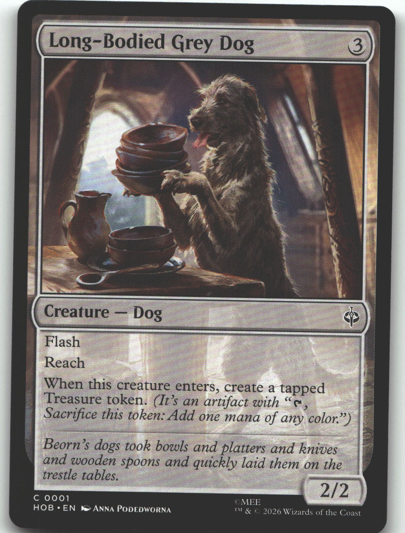 Long-Bodied Grey Dog