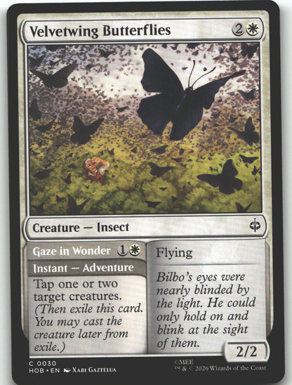 Velvetwing Butterflies