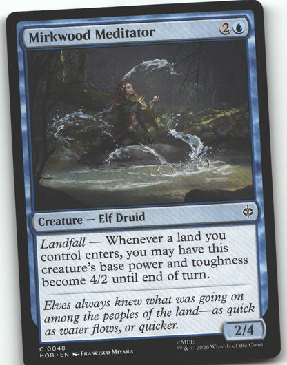 Mirkwood Meditator