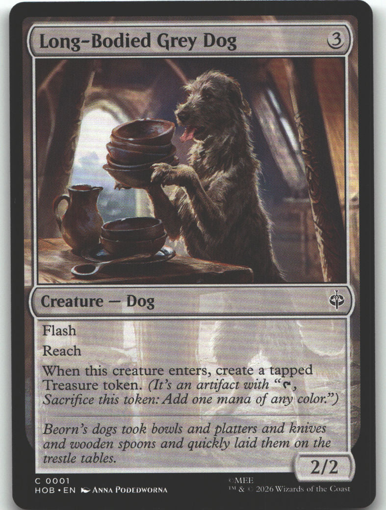 Long-Bodied Grey Dog