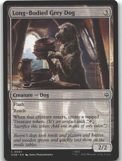 Long-Bodied Grey Dog