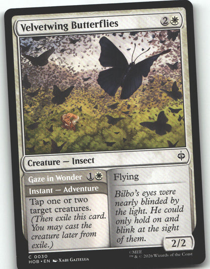 Velvetwing Butterflies