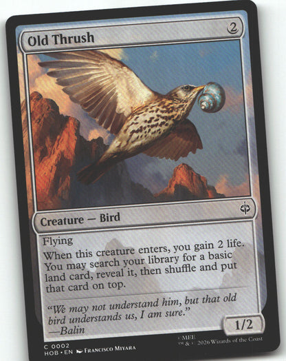 Old Thrush