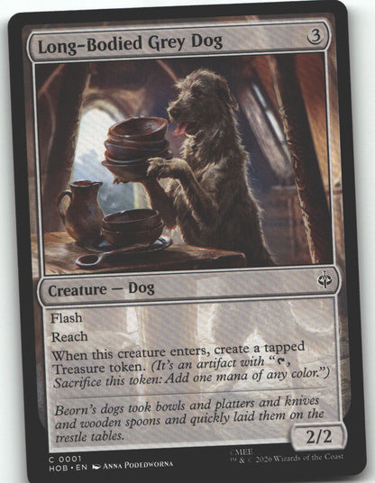 Long-Bodied Grey Dog