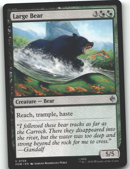 Large Bear