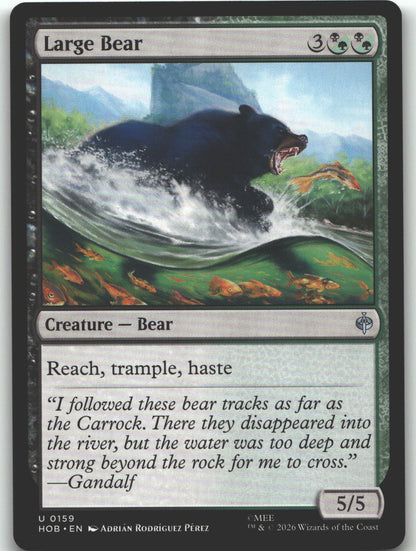 Large Bear