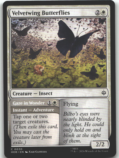 Velvetwing Butterflies