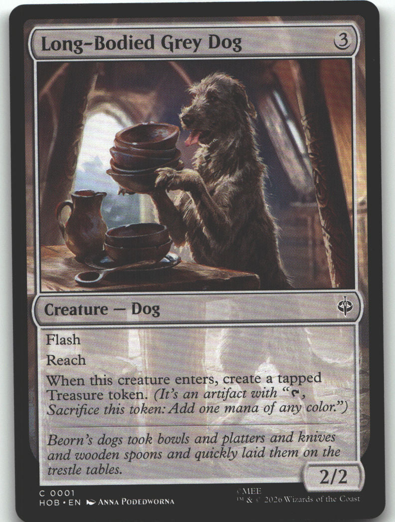 Long-Bodied Grey Dog