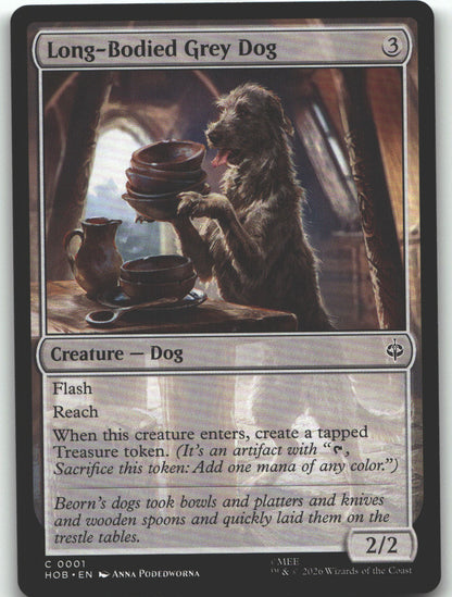 Long-Bodied Grey Dog