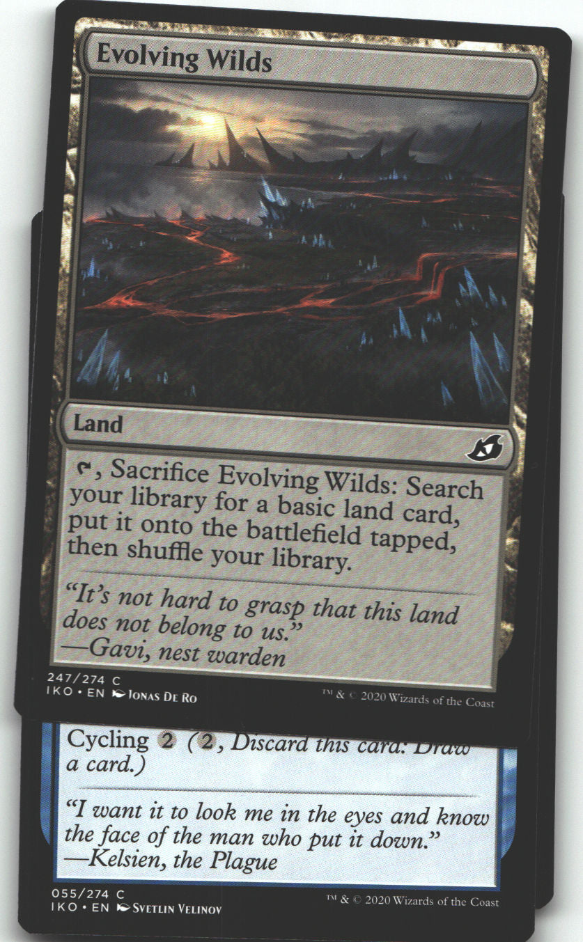 Evolving Wilds