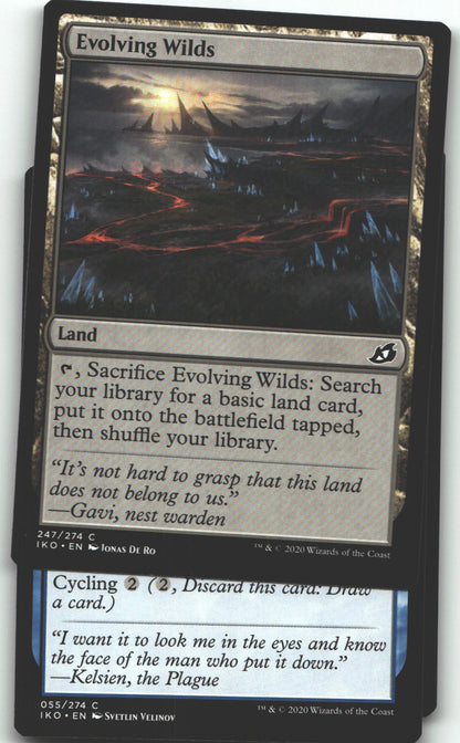 Evolving Wilds