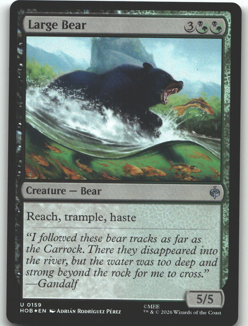 Large Bear