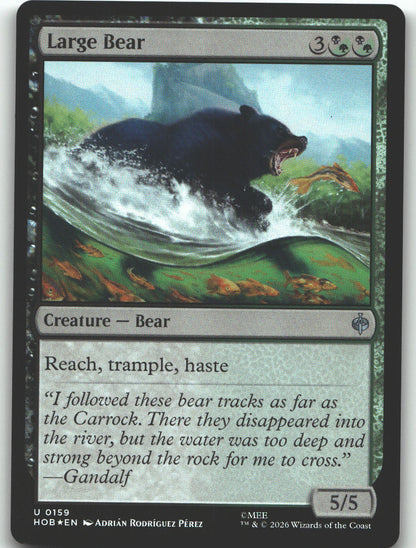 Large Bear