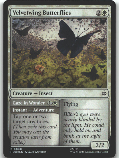 Velvetwing Butterflies