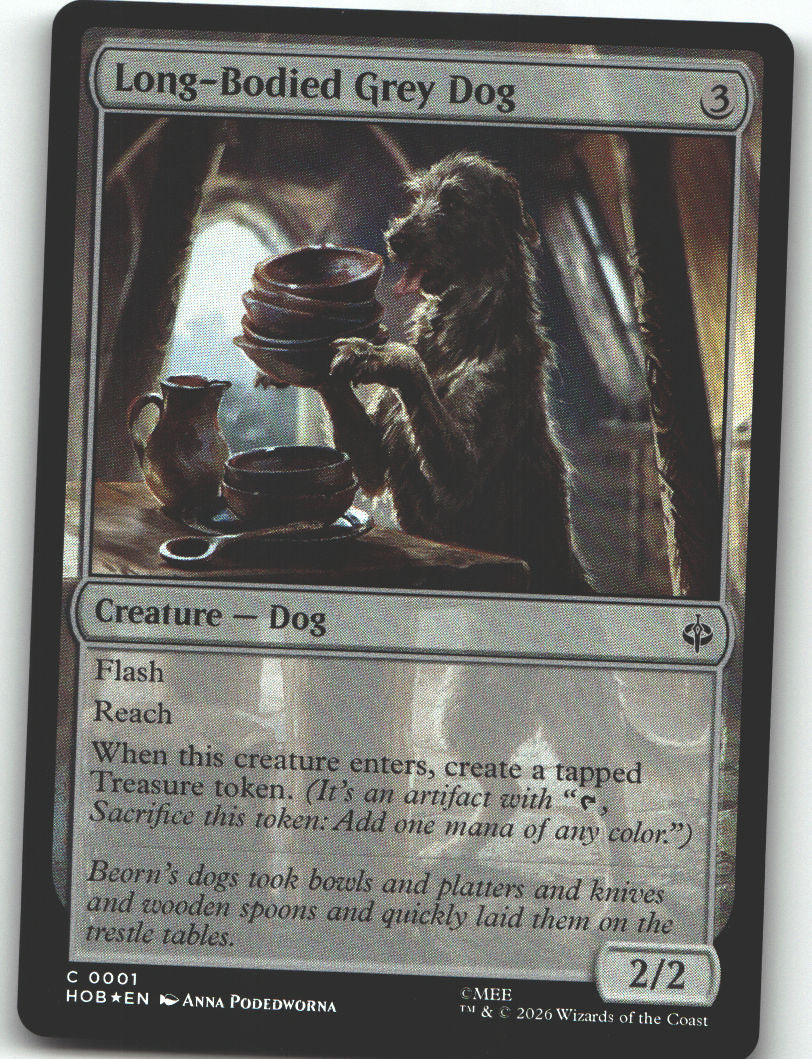Long-Bodied Grey Dog
