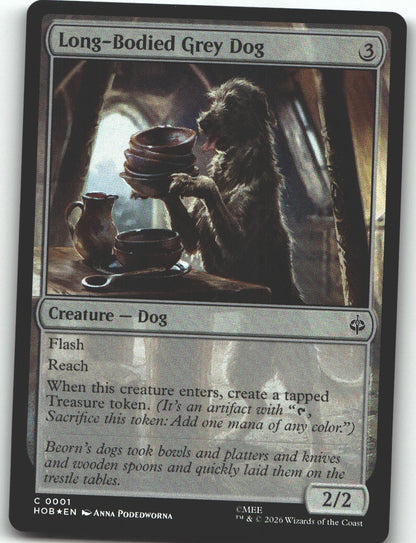 Long-Bodied Grey Dog