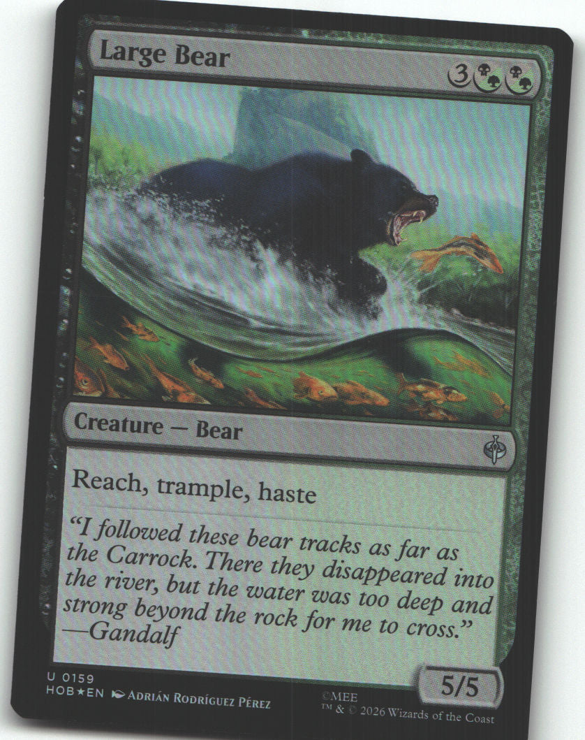 Large Bear