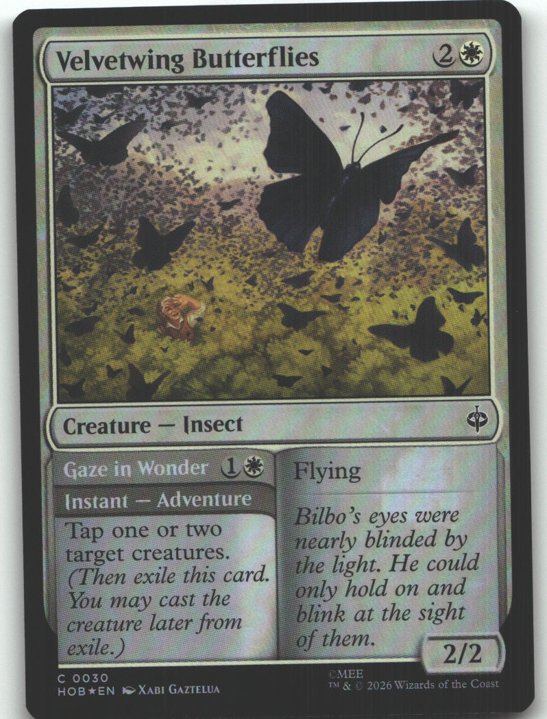 Velvetwing Butterflies