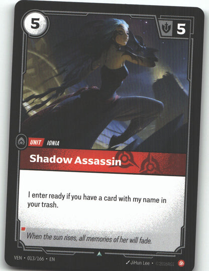 Shadow Assassin