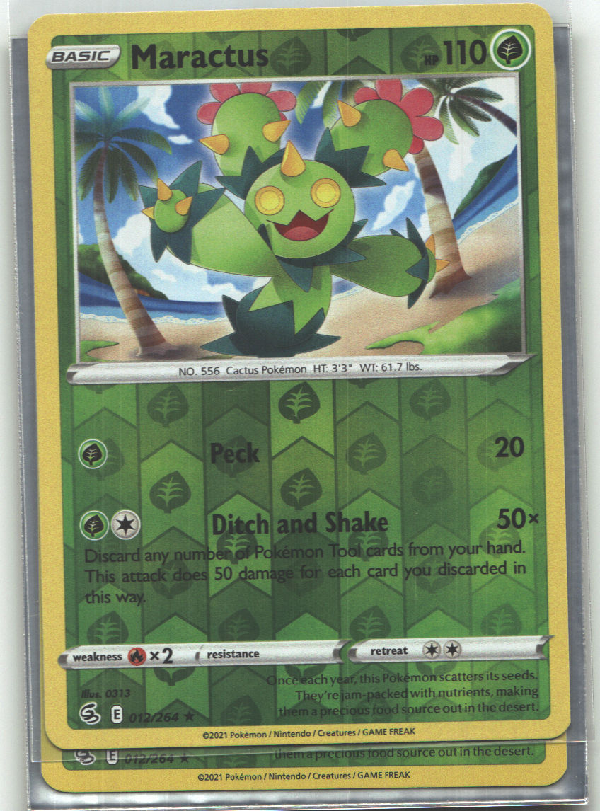 Maractus