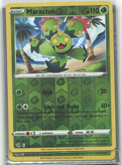 Maractus