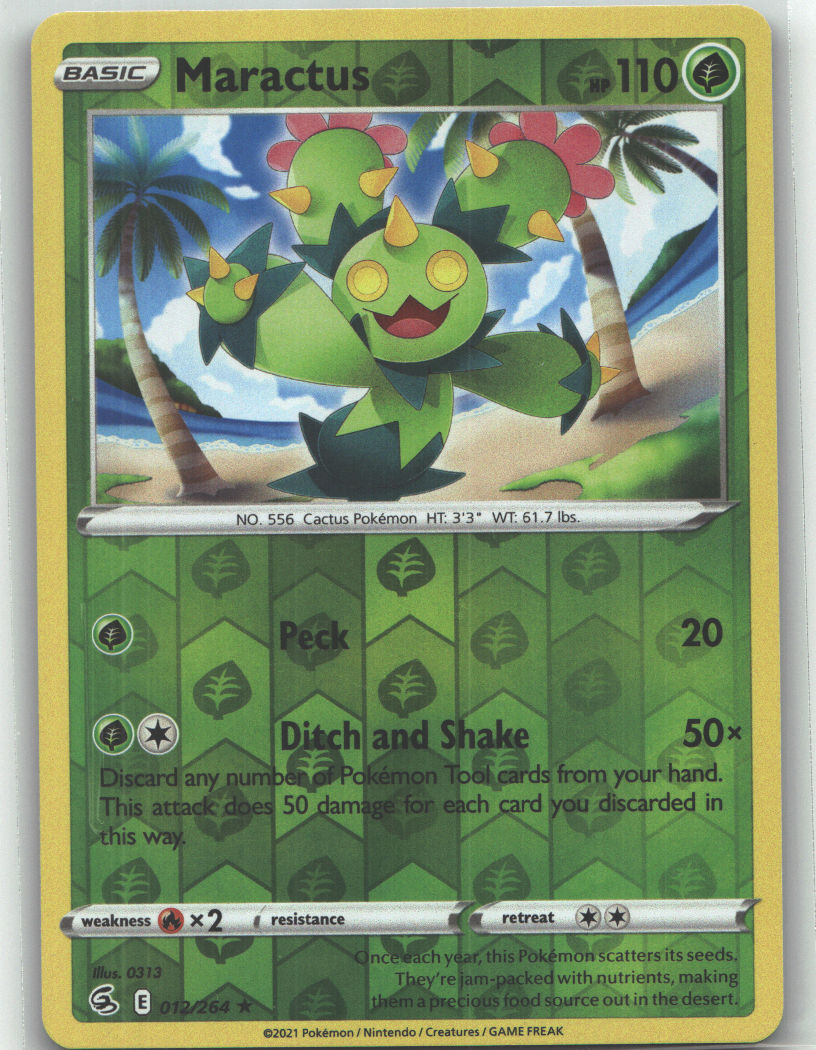 Maractus