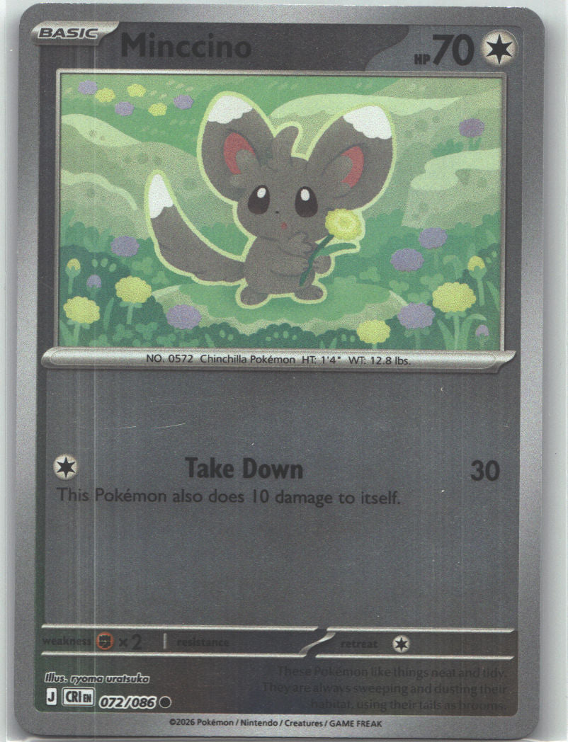 Minccino