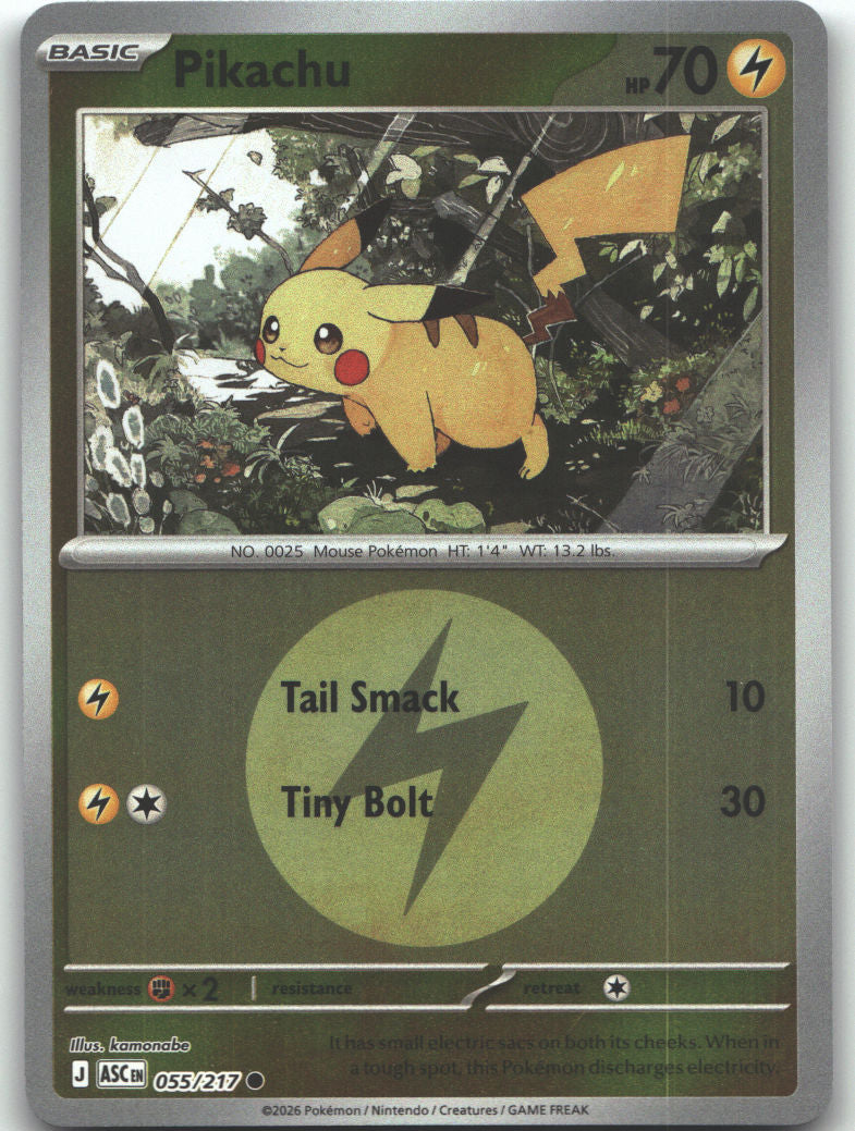 Pikachu (Energy Symbol Pattern)