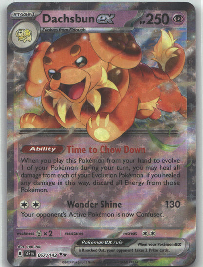 Dachsbun ex - 067/142