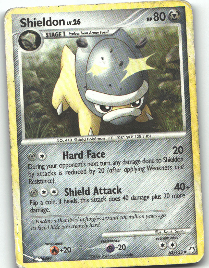 Shieldon