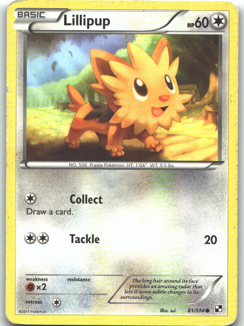 Lillipup (81)