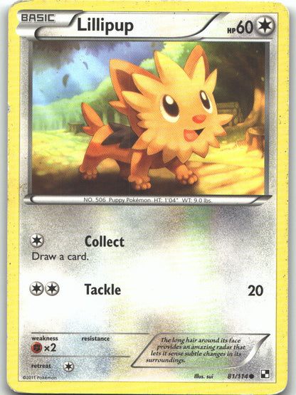 Lillipup (81)