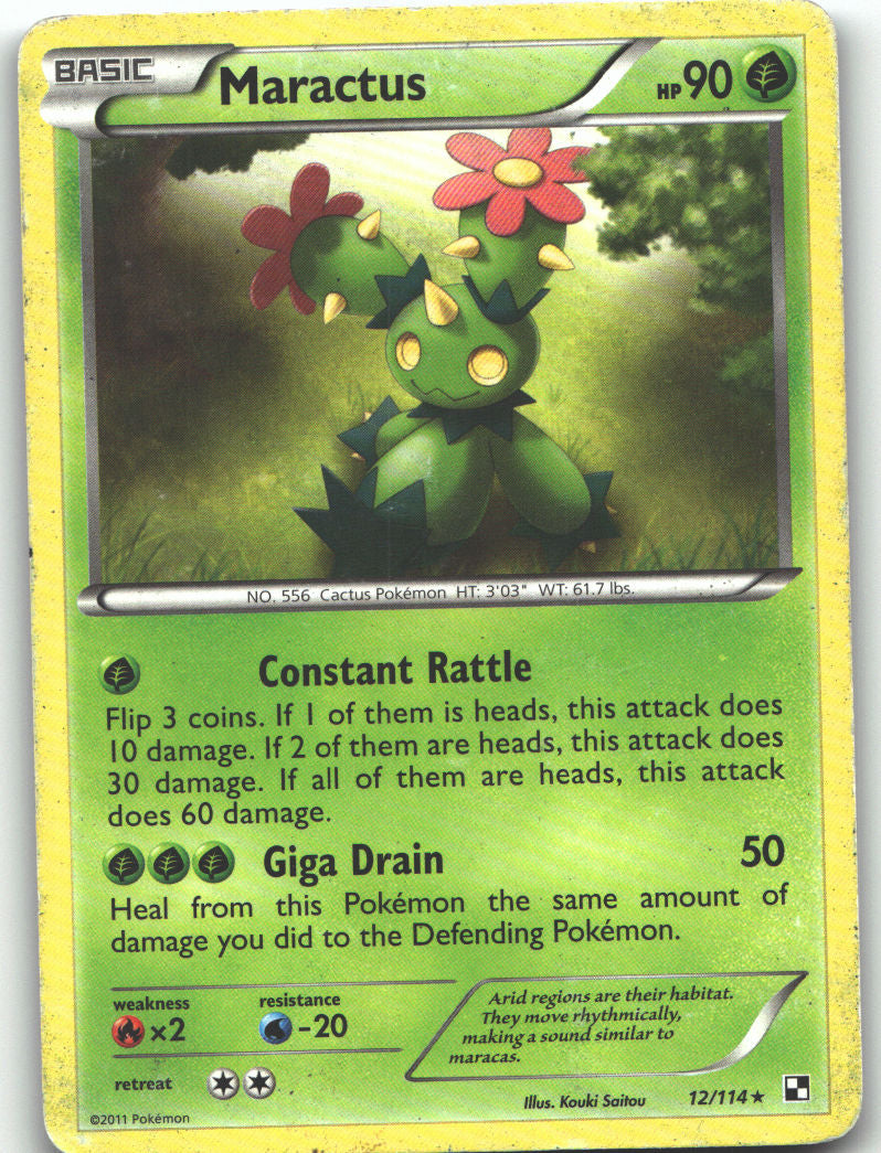 Maractus (12)