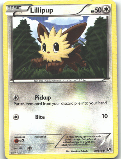 Lillipup (80)