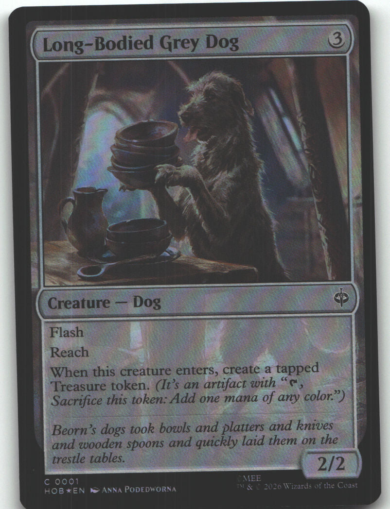 Long-Bodied Grey Dog