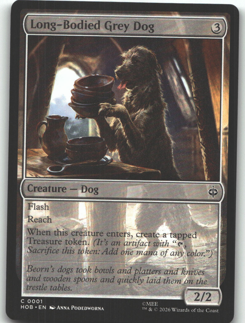 Long-Bodied Grey Dog