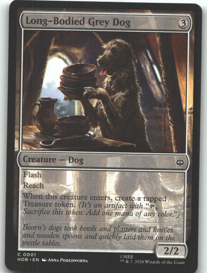 Long-Bodied Grey Dog