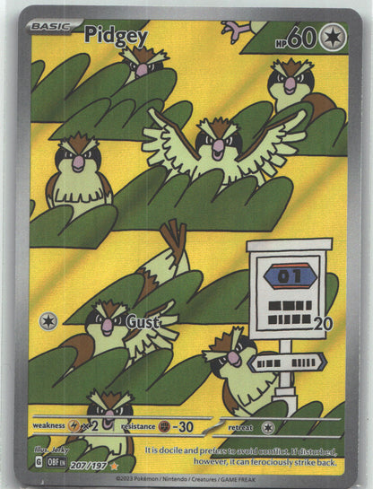 Pidgey - 207/197