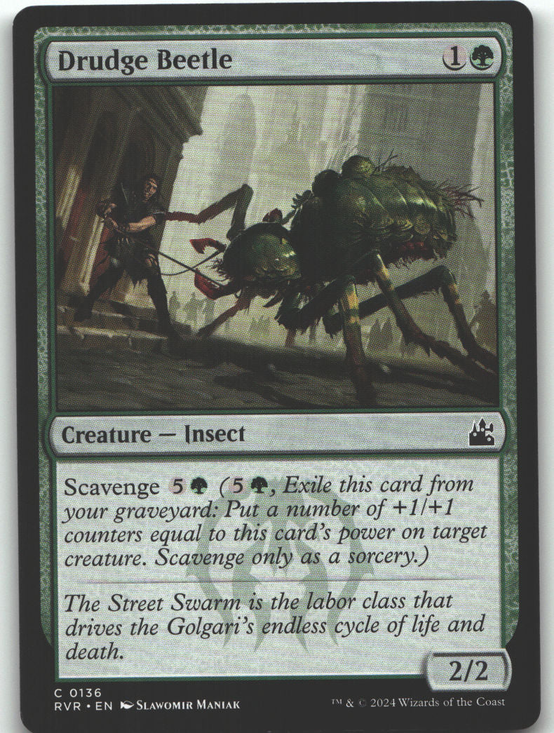 Drudge Beetle